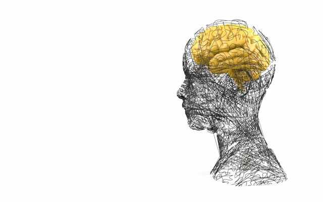 A graphic design of a human profile with a yellow brain against a white background.